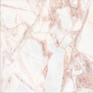 Meet your Posher, Ashlyn